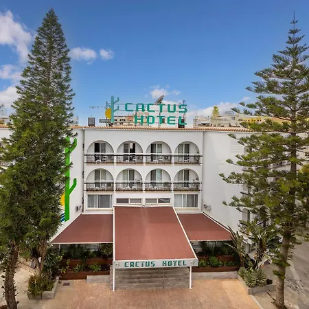 Cactus Larnaca